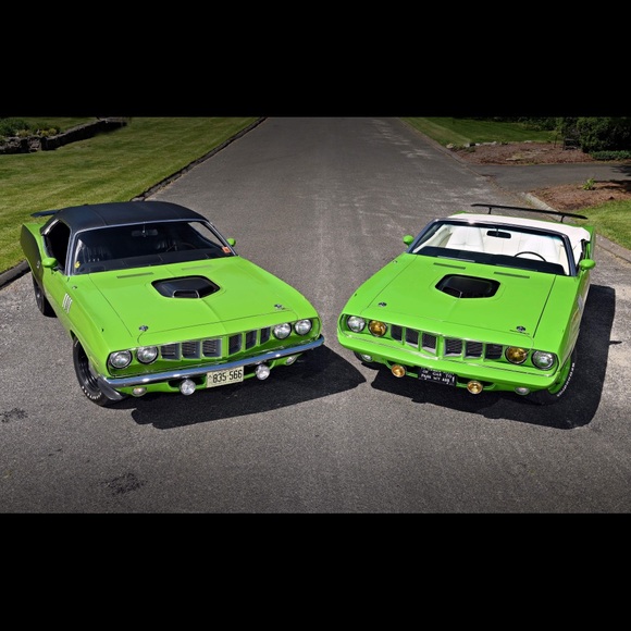 Meet your Posher, Steve - Picture 1 of 1